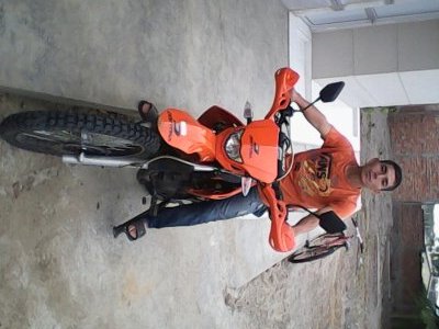 luis