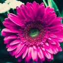 bethany dillon - @M0tiv8tion - Twitter