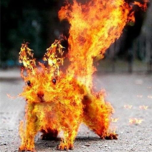 Simplici7y's profile picture. LoL esports shittalker