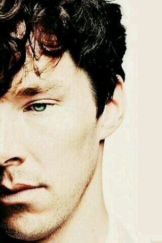 Sherlock Holmes, avid liar.  @DocJohnHWatson is my blogger and  @HiddenHolmes is blood.