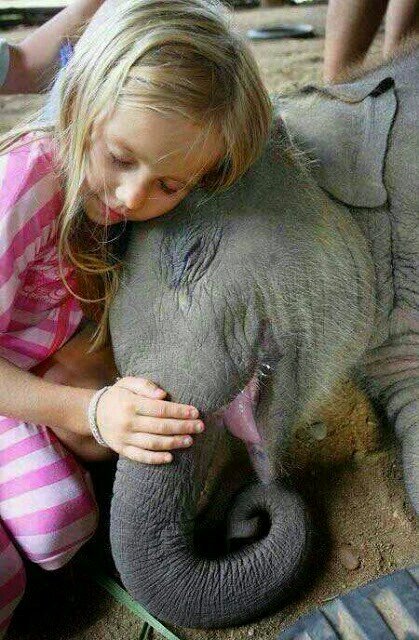 I dream of saving the world.  I seem to have an idea for just about everything.  Luv animals, art, architecture...any more A words?