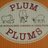 PlumPlumsCheese's profile image