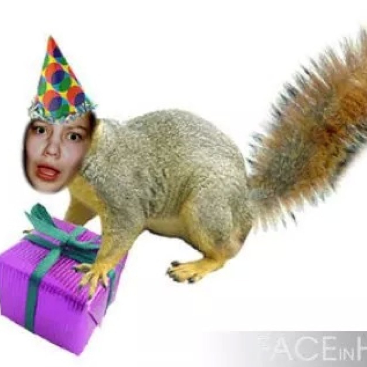 squirrelbitch's profile picture. im jus a squirrel and life is a nightmare