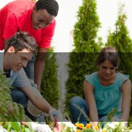 Offering teenagers Community Service Hours at Organisations based on interests, skills & area preference.