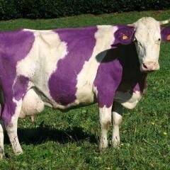 Mathieu__1's profile picture. 