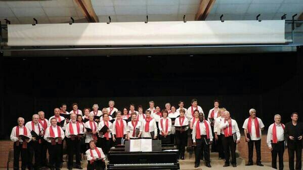Chorale CASTELCANTORUM de Fronton, constituée de 45 Choristes,répartis en 4 Pupitres,répertoire du moyen-age au contemporain, chef de choeur Fréderic TERRIEN.
