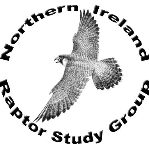 The Northern Ireland Raptor Study Group is an NGO made up of volunteers dedicated to the conservation of birds of prey in Northern Ireland.