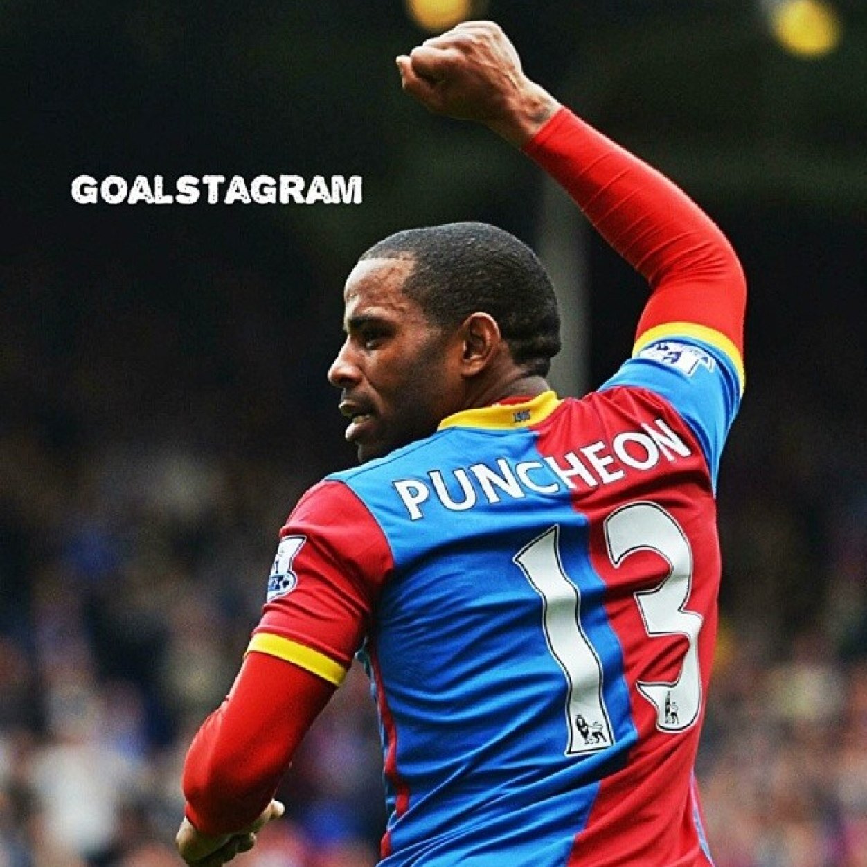 MASSIVE FAN OF CPFC and Nina Mccue