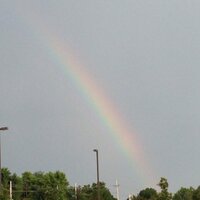 Barbara Shonsey (@barbarashonsey) 's Twitter Profile