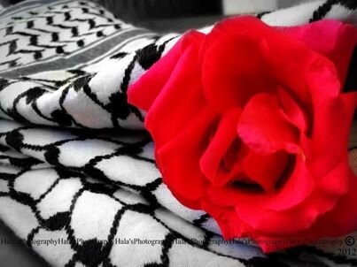 ‏snap chat: Fara7442 
instagram : fara7_just