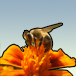 Domastuces's profile picture. Des trucs et astuces cuisine, santé, beauté, maison, nettoyage