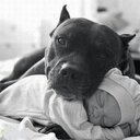 Reggie Baker - @bakerreggie2 - Twitter