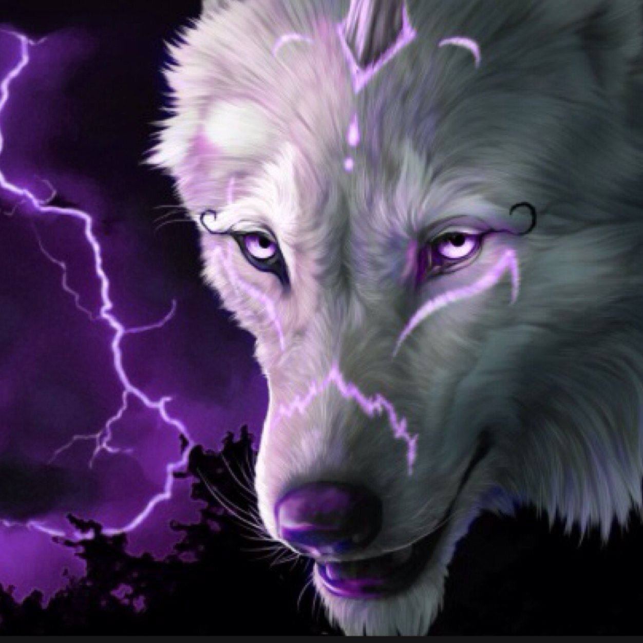 iPwn5c's profile picture. 