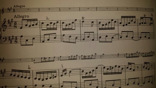 rash1_rash's profile picture. Flautist, gardener, animal lover, litter hater