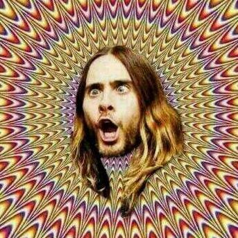 _Kerplunka's profile picture. Fã da banda composta por um bonitão vencedor do oscar, um viciado em café, e um baixista who