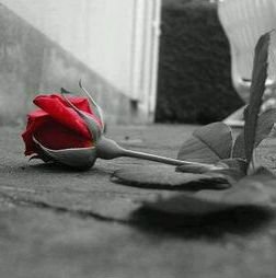 　​‏ ﺎريد ﺎنسإک شقد ٺعب منک قلبـي Ƒ (n)..