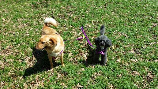 ym637157's profile picture. 