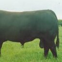 Rodney Batchelor - @RodneyBatchelor - Twitter