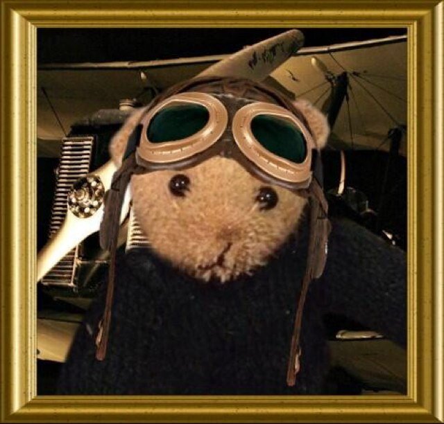 WWI mascot bear, born 1915. Very rare bear. Like honey, Pringles, dominoes and smoking hats! Best friends Bertram and Duke