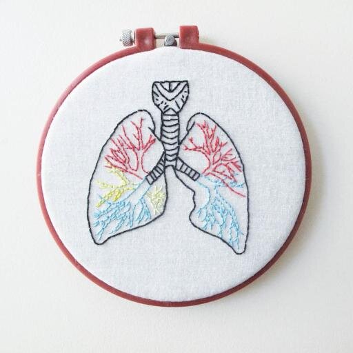 Maker of anatomical stitches, eater of cookies, snuggler of dogs. I am not that shop in South Carolina, but a way cooler one on Etsy.