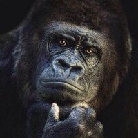 Eric Jally  💫 (@netwizz) 's Twitter Profile