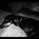 Gavin Baxter - @gavinbaxter02 - Twitter