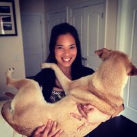 nicolenguyen (@nicolenguyen) 's Twitter Profile