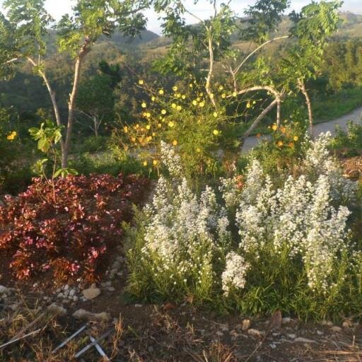 Vince_Corning's profile picture. 