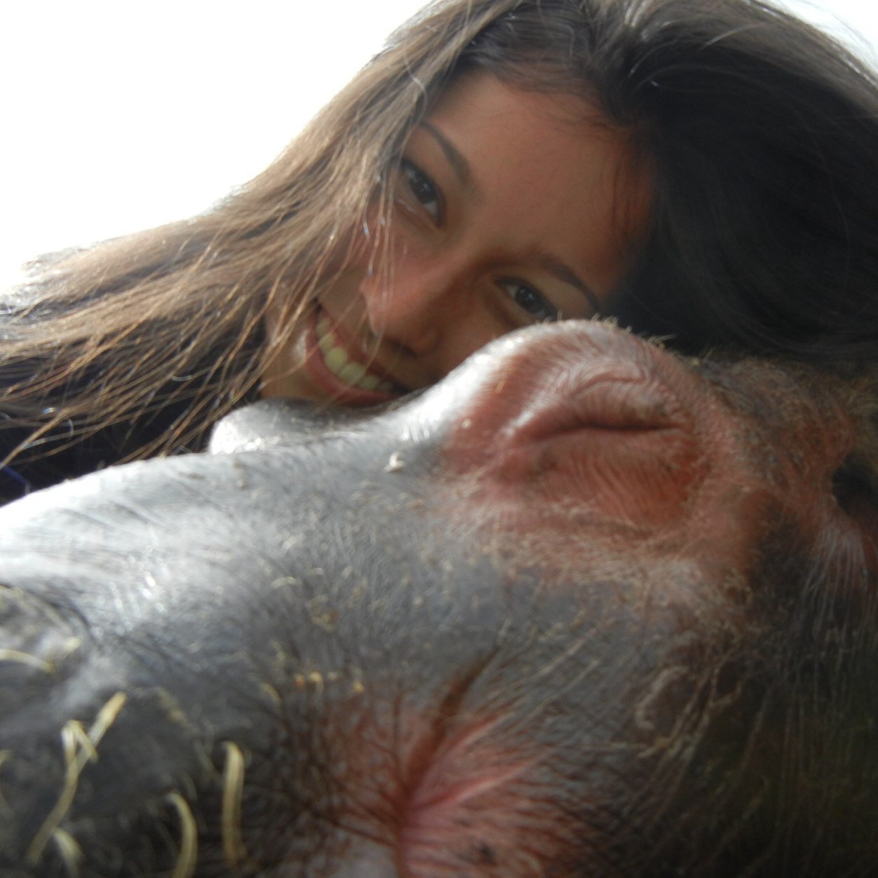 HannaSternV's profile picture. Estudiante MV
Universidad de la Salle