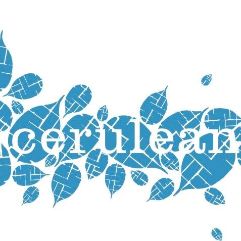 Cerulean through food- at its best & at every level- is about communion & joy, while encouraging a modern sensibility that inspires.