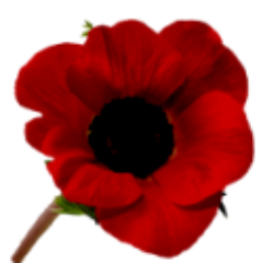 A website to commemorate the men and women of St Helens, Lancashire, England who lost their lives in the two World Wars.