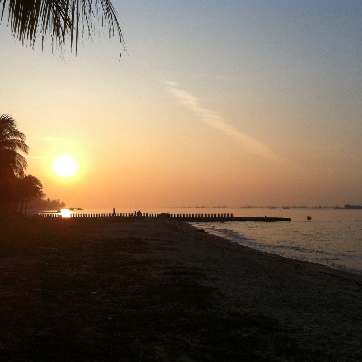 natural_house's profile picture. 