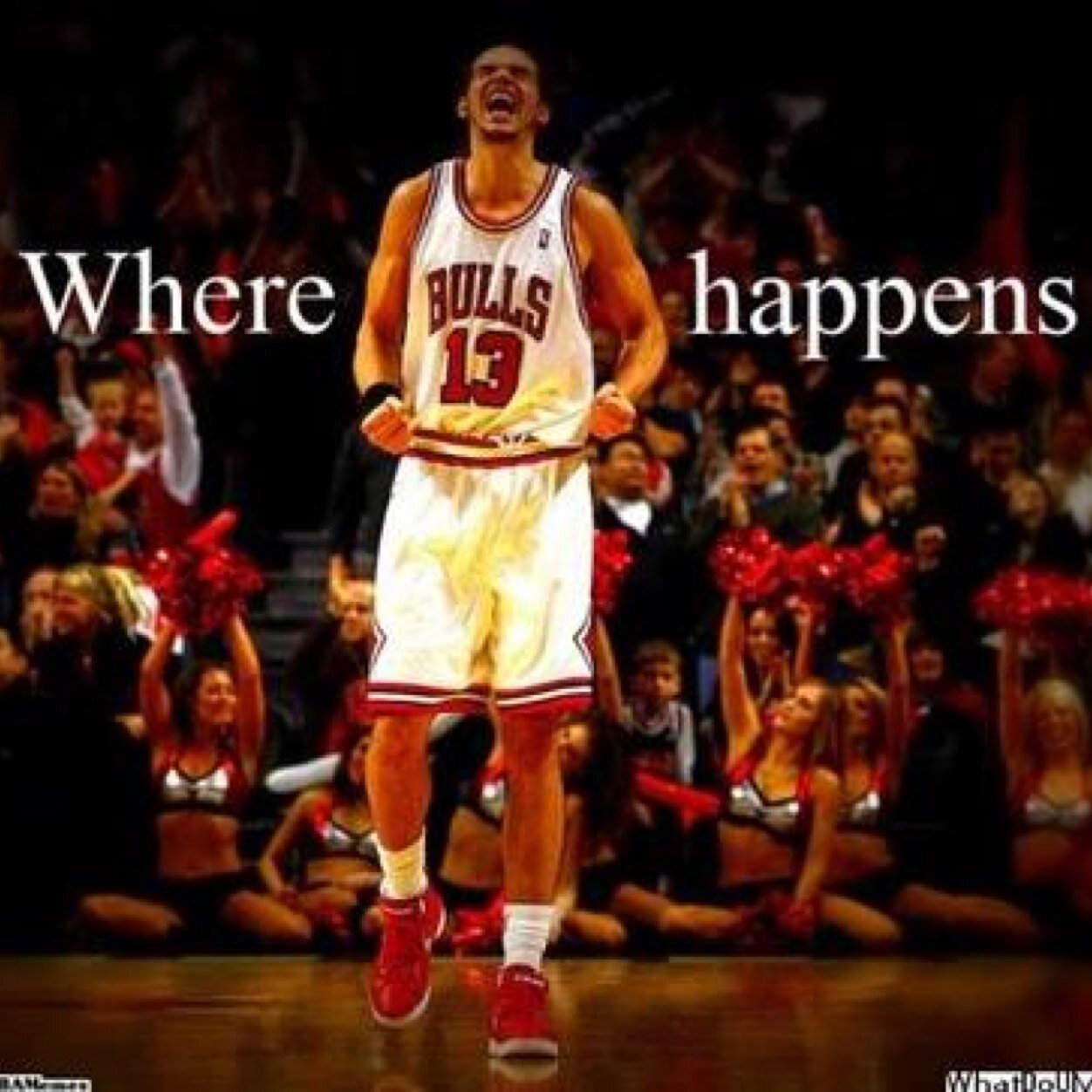 BullsAreTheShit's profile picture. Team Follow Back #BullsNation