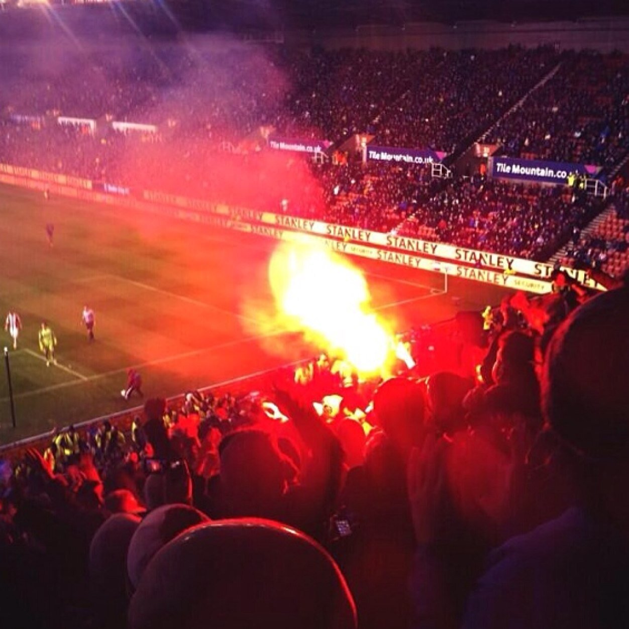 Terrace_Flags's profile picture. 