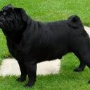 Alan Boynton - @alanboyo - Twitter