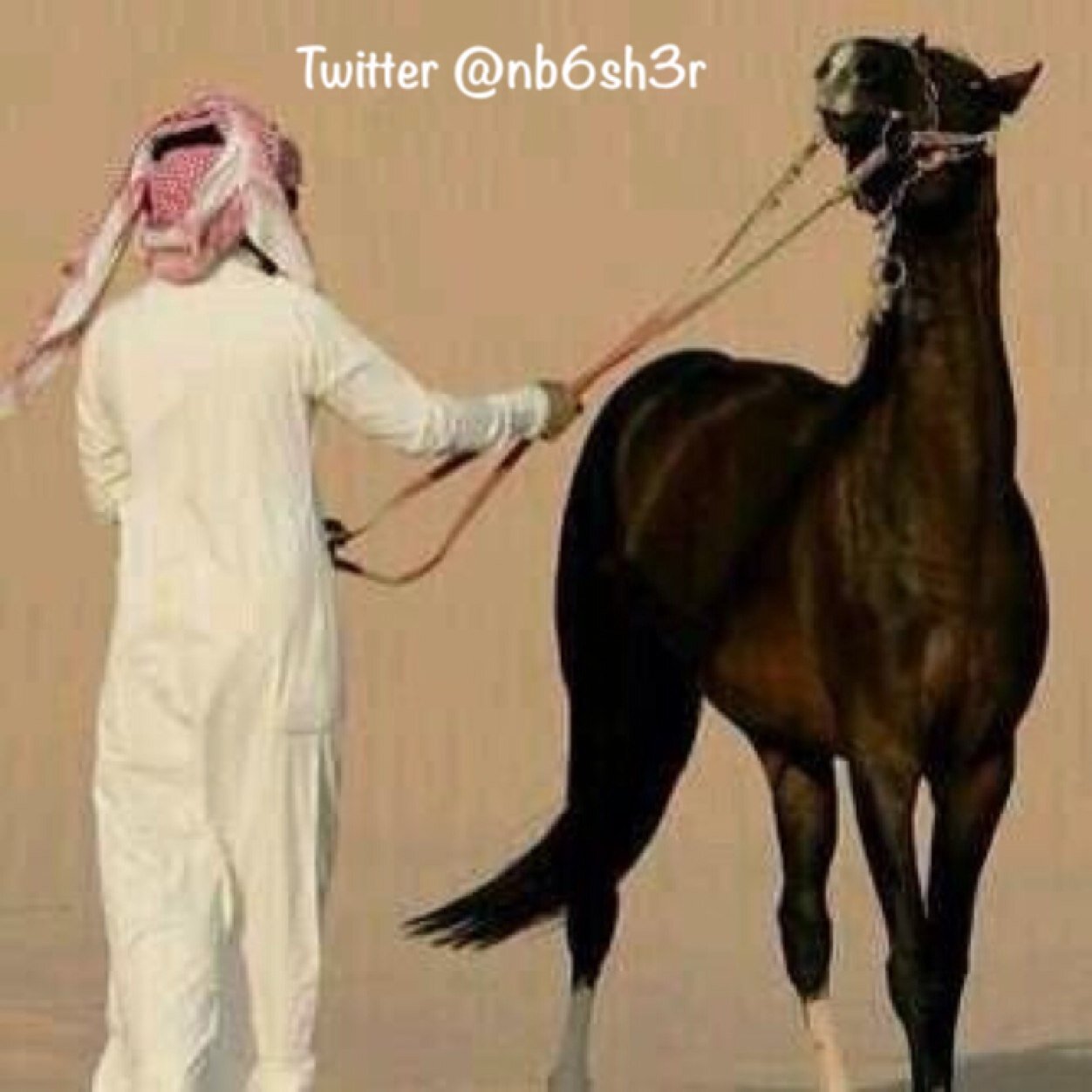 اغرد شعراً