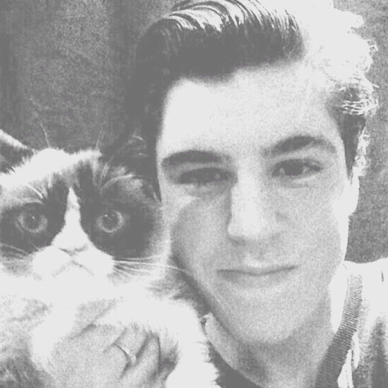 ERMERGERD SURM WERLF