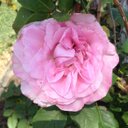 Judith Brinkman - @judithbrinkman - Twitter