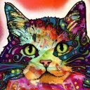 Lisa Walker - @lcwalker - Twitter