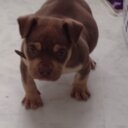 sidney drake - @bombadred - Twitter