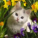 Emily Codina - @sporty_girl1515 - Twitter