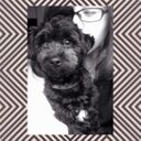 Kelsey Ann Foreman - @xxforeman13xx - Twitter