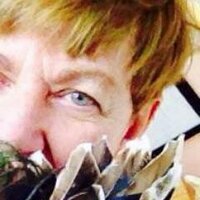 Beth Scupham (@strangegraces) 's Twitter Profile Photo Beth Scupham (@strangegraces) 's Twitter Profile Photo