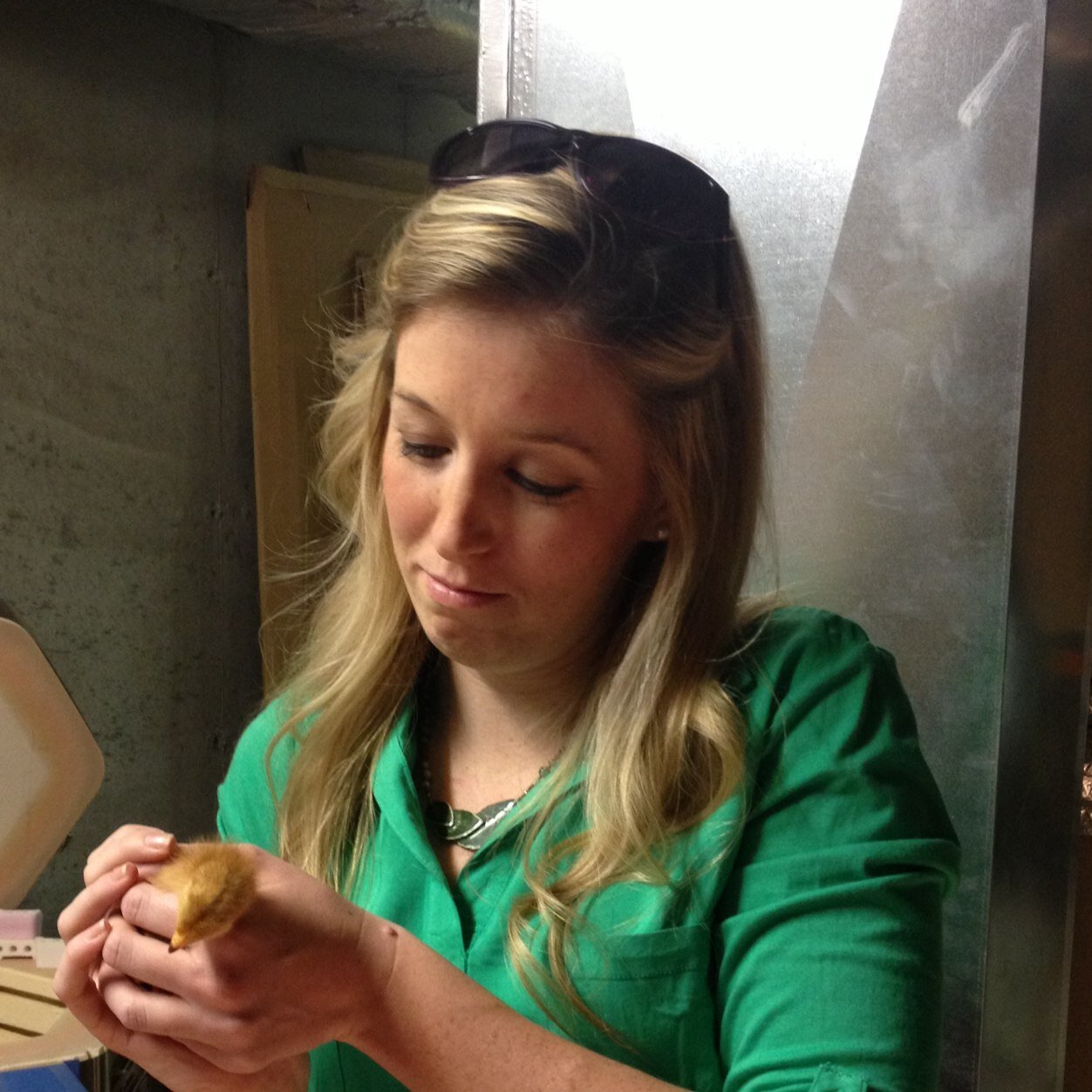 Bberries8's profile picture. 