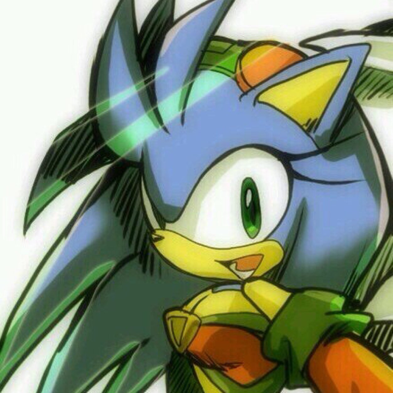 I'm Jewel, Jewel the hedgehog. I'm Shadow the hedgehogs sister. I can control water and even turn into a Chaos creature. #SonicRP