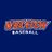WCThunderBSBL's profile image
