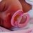 maternidadpilar's profile image