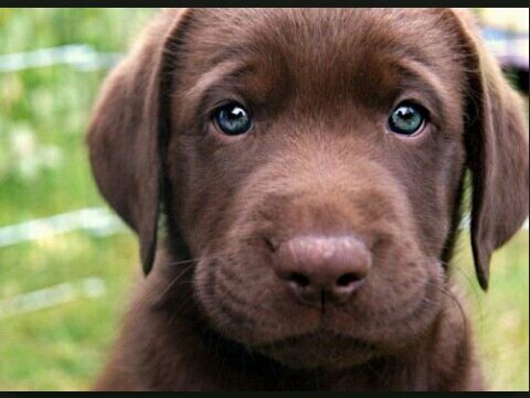 I WANT FOOD