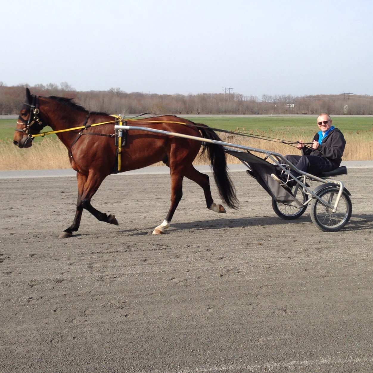 Experienced business lawyer, harness racing fan and horse owner