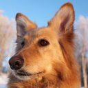 Bryce Davis - @bryce_ndavis - Twitter